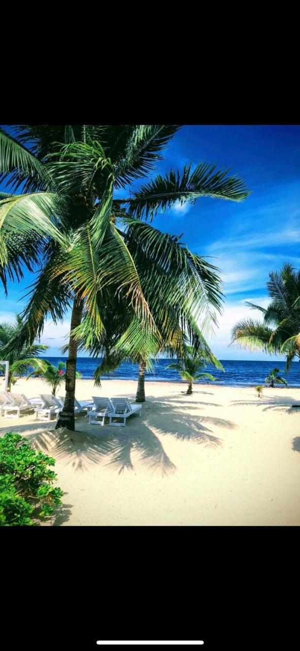 Caribbean Beach Cabanas - A Pur Hotel Placencia Exterior photo